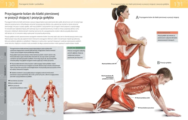 Anatomia stretchingu. 50 podstawowych ćwiczeń wzmacniających i zwiększających elastyczność