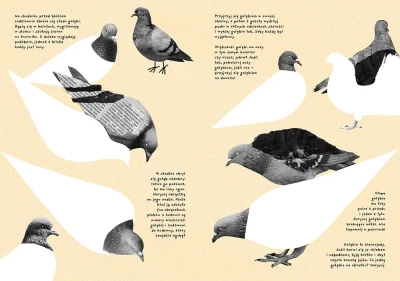 Działka. Ćwiczenia przyrodnicze dla pięciolatków