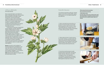 Przewodnik po roślinach leczniczych. Rośliny lecznicze i domowe sposoby leczenia od A do Z (dodruk 2023)