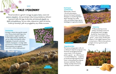 Młodzi przyrodnicy Na szlaku W górach