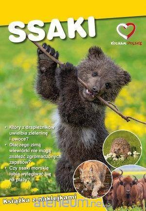 Ssaki. Ekoprzewodnik Młodego Odkrywcy