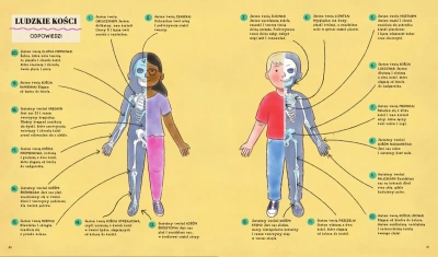 Zgadnij. Nazwij. Połącz!