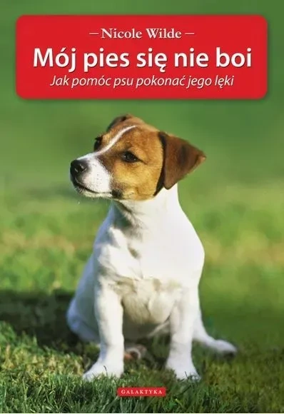 Mój pies się nie boi