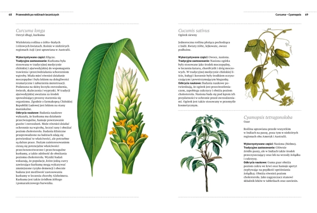 Przewodnik po roślinach leczniczych. Rośliny lecznicze i domowe sposoby leczenia od A do Z (dodruk 2023)