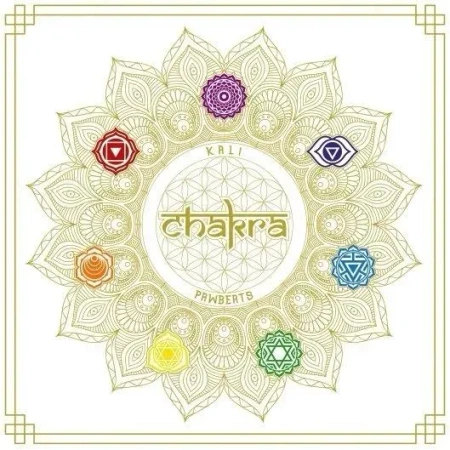 Chakra + CD