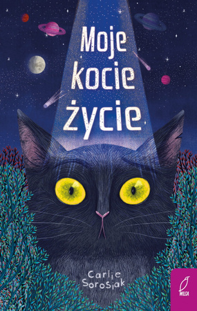Moje kocie życie