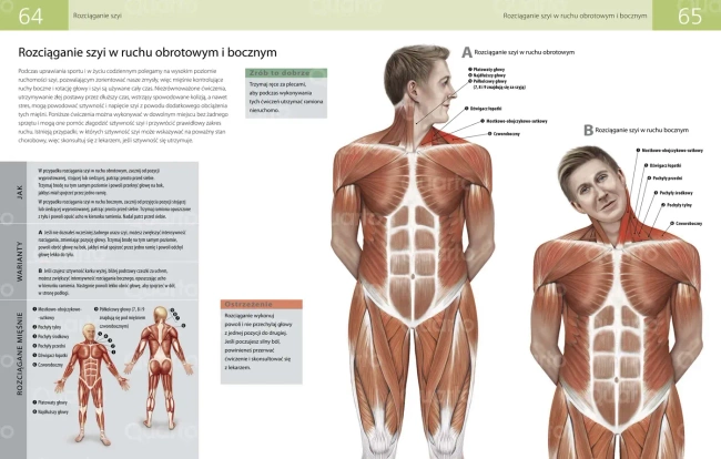 Anatomia stretchingu. 50 podstawowych ćwiczeń wzmacniających i zwiększających elastyczność