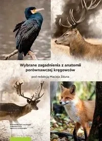 Wybrane zagadnienia z anatomii porównawczej kręgowców
