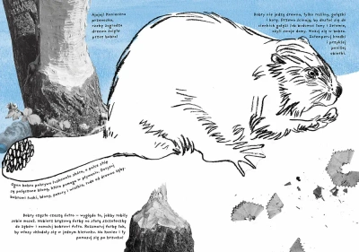 Kajak. Ćwiczenia przyrodnicze dla czterolatków. Mądrale