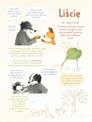 Drzewa. Rodzina Borsuków i Lisów przedstawia. Tom 2