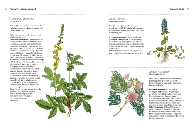 Przewodnik po roślinach leczniczych. Rośliny lecznicze i domowe sposoby leczenia od A do Z (dodruk 2023)