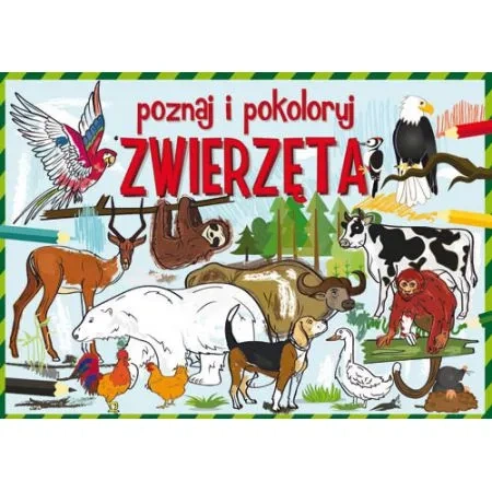 Poznaj i pokoloruj zwierzęta
