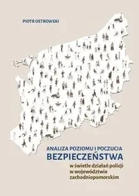 Analiza poziomu i poczucia bezpieczeństwa..