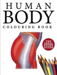 Human Body Colouring Book wer. angielska