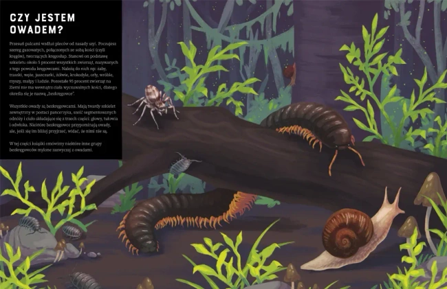 Owady od A do Z (wyd. 2022)