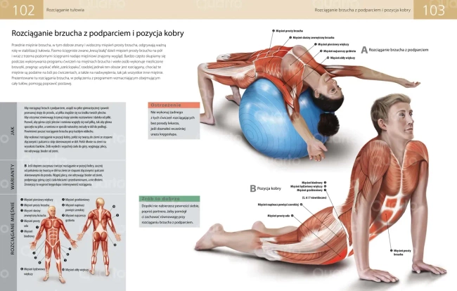 Anatomia stretchingu. 50 podstawowych ćwiczeń wzmacniających i zwiększających elastyczność