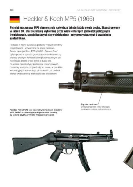 Najsłynniejsze karabiny i pistolety. Ilustrowana historia