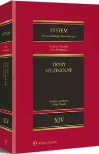 System prawa karnego procesowego