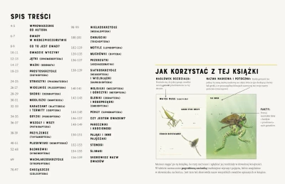 Owady od A do Z (wyd. 2022)