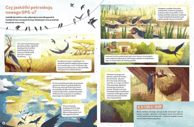 Dlaczego orangutany nie lubią pasty do zębów?