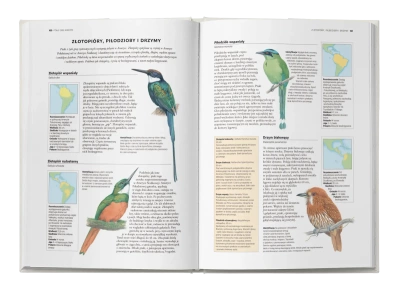 Encyklopedia ptaków świata