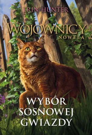Wojownicy Nowela Tom 11 Wybór Sosnowej Gwiazdy