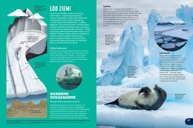 Britannica. Nowa encyklopedia dla dzieci wyd. 3