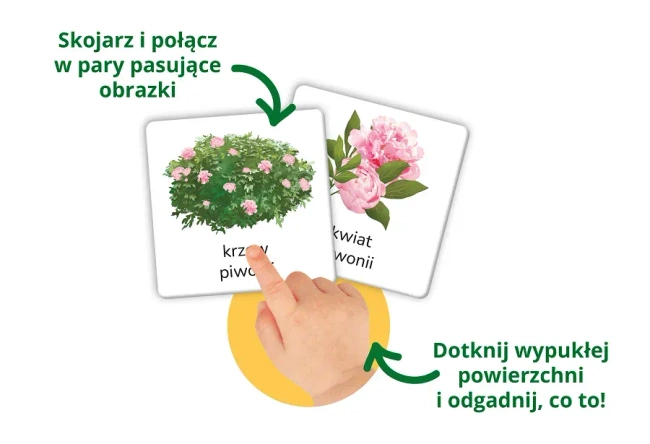 Przyroda tu i tam. Kapitan Nauka. Montessori. Karty sensoryczne