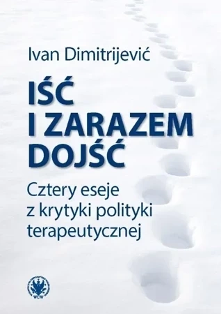 Iść i zarazem dojść. Cztery eseje z krytyki polityki terapeutycznej