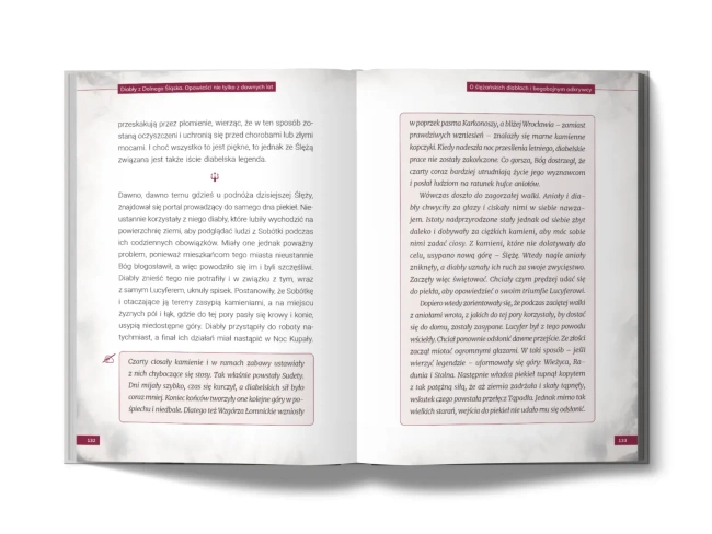 Mroczne tajemnice Dolnego Śląska. Przewodnik po miejscach, które żyją sekretami do dziś