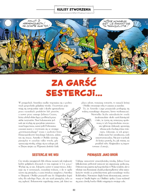 Asteriks i kociołek. Tom 13