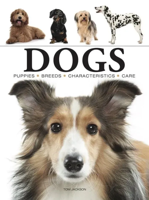 Dogs wer. angielska