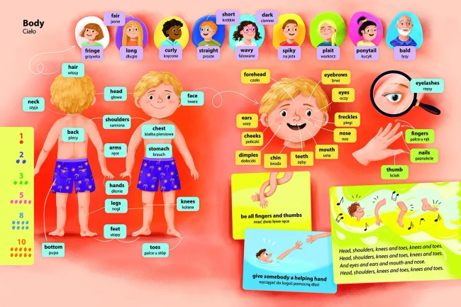 500 słów i zwrotów. Angielski słowniczek obrazkowy. Kakadu
