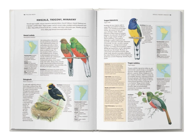 Encyklopedia ptaków świata