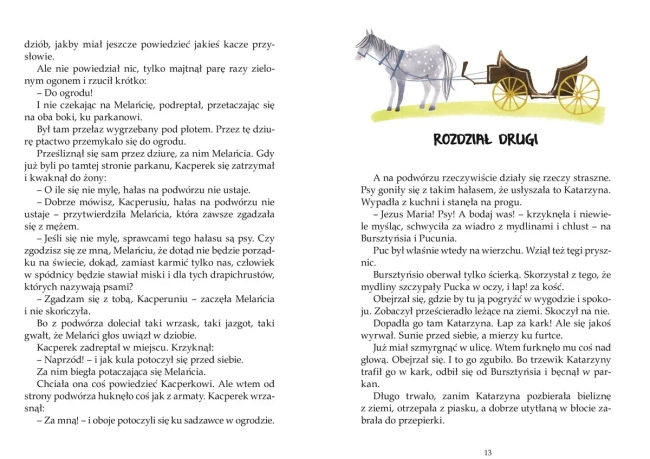 Puc, Bursztyn i goście wyd. 2020