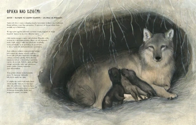 Czternaście wilków