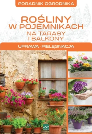 Rośliny w pojemnikach na tarasy i balkony