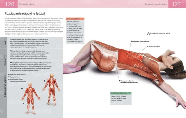 Anatomia stretchingu. 50 podstawowych ćwiczeń wzmacniających i zwiększających elastyczność