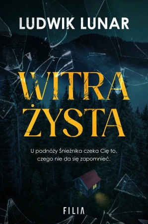 Witrażysta