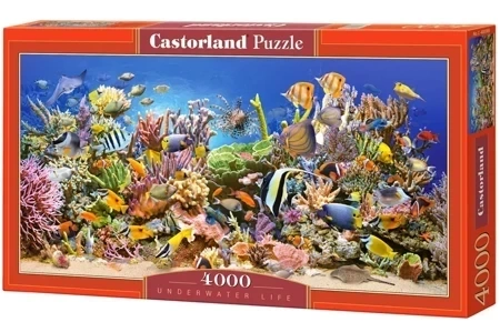 Puzzle 4000 Podwodne życie CASTOR