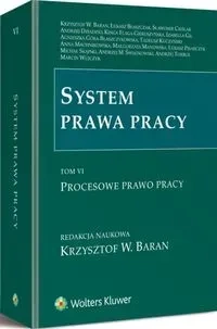 System prawa pracy Tom 6