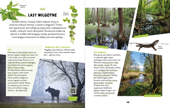 Na szlaku. Pod miastem. Młodzi przyrodnicy