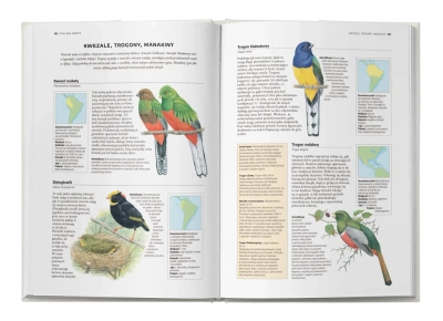 Encyklopedia ptaków świata