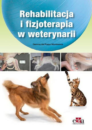 Rehabilitacja I Fizjoterapia W Weterynarii