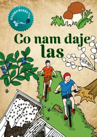 Co nam daje las. Kolorowanka