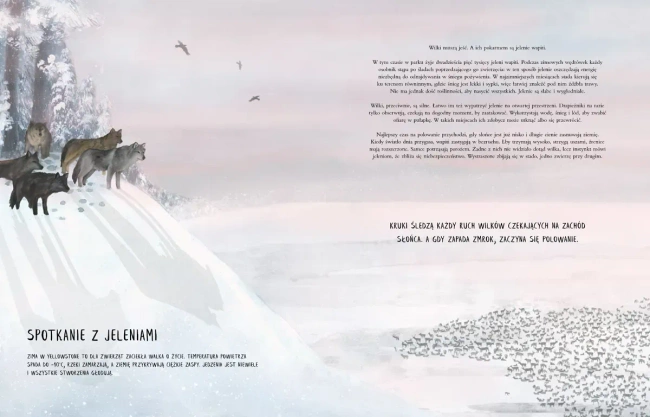 Czternaście wilków