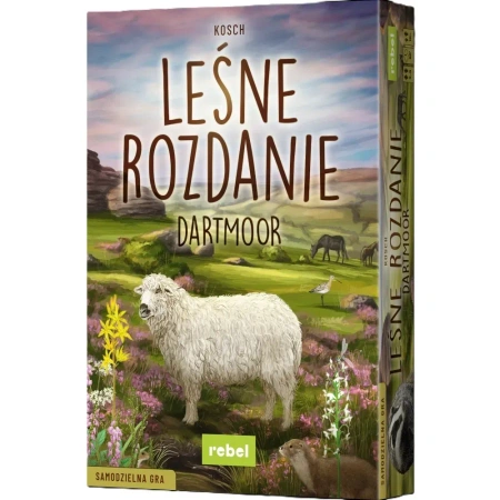 Gra Leśne rozdanie Dartmoor