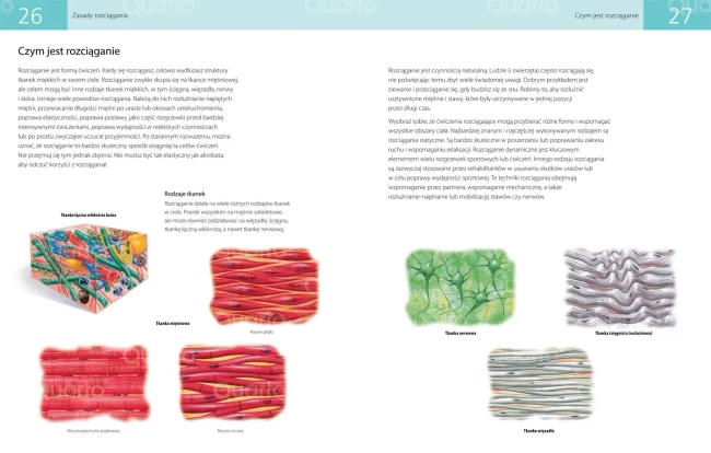 Anatomia stretchingu. 50 podstawowych ćwiczeń wzmacniających i zwiększających elastyczność
