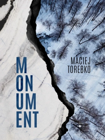 Momentum