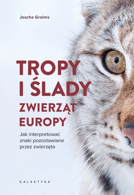 Tropy i ślady zwierząt Europy. Jak interpretować znaki pozostawiane przez zwierzęta